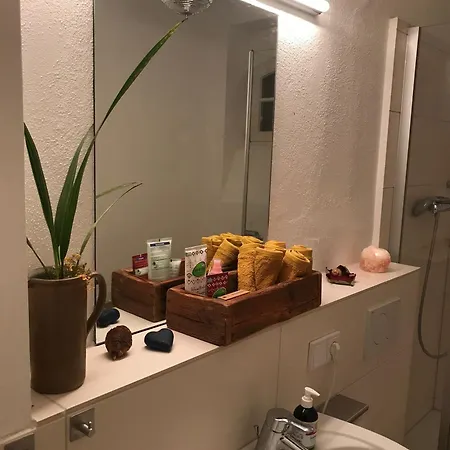 Der Freiraum In Apartment Speyer