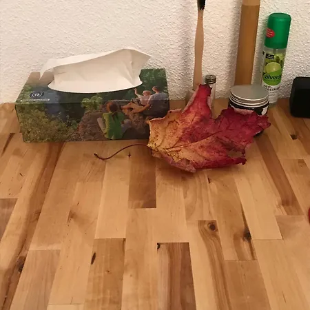Der Freiraum In
